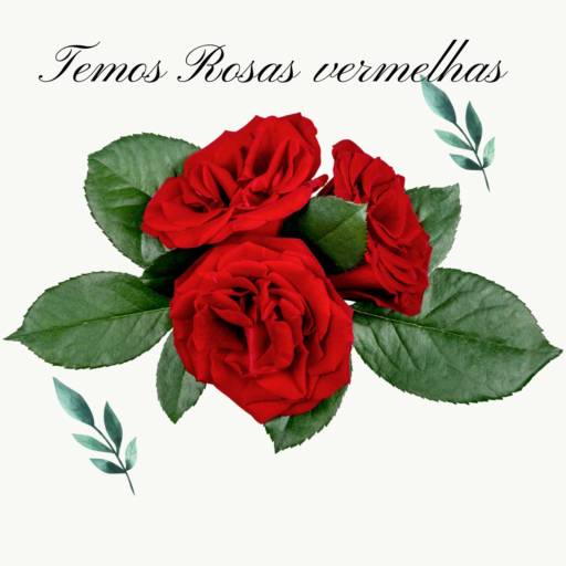 Rosas Vermelhas