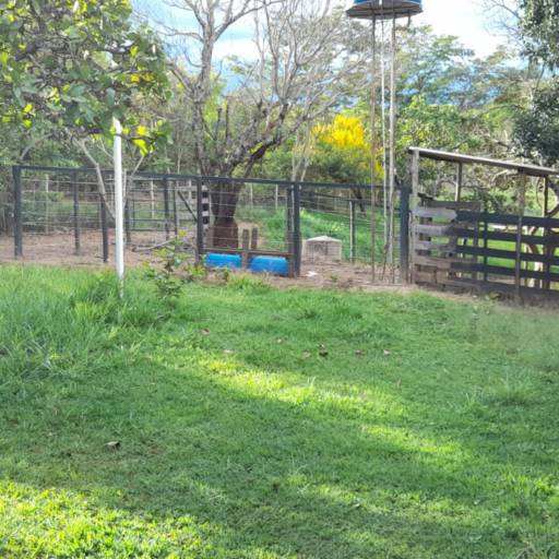 Chácara a venda Alexânia-GO por Peterson Garcia Corretor de Imóveis 