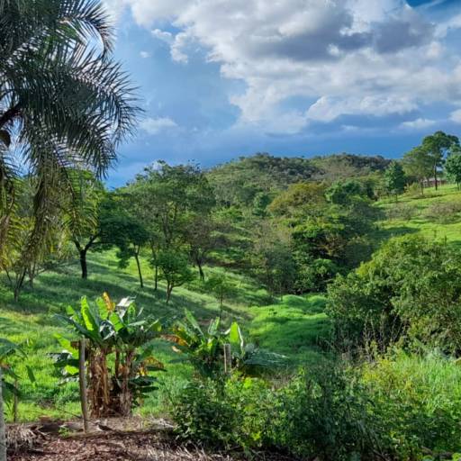 Chácara a venda Alexânia-GO por Peterson Garcia Corretor de Imóveis 