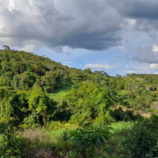 Chácara a venda Alexânia-GO por Peterson Garcia Corretor de Imóveis 