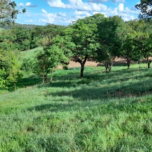 Chácara a venda Alexânia-GO por Peterson Garcia Corretor de Imóveis 