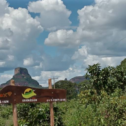 Comprar o produto de Passeio Turístico em Turismo Ecológico pela empresa Sítio Ebenézer em Mineiros, GO por Solutudo