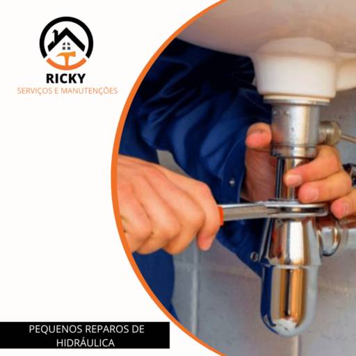 PEQUENOS REPAROS DE HIDRÁULICA