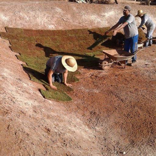 Plantio de Gramados Naturais