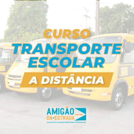 Comprar o produto de Curso Transporte Escolar On-Line em Cursos pela empresa Amigão Da Estrada em Sumaré, SP por Solutudo