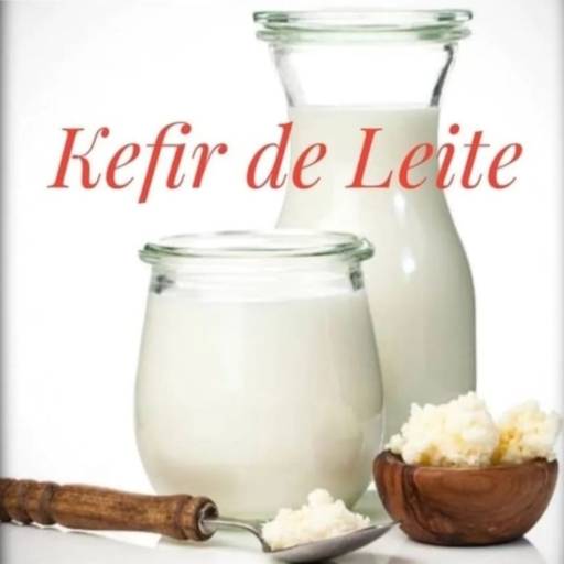 Comprar o produto de Kefir de Leite em Produtos Artesanais pela empresa Komsaúde Kombucha e Kefir em Assis, SP por Solutudo