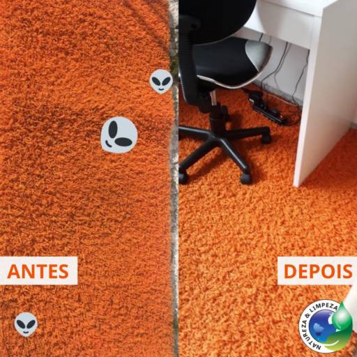 Limpeza de carpete por Natureza & Limpeza