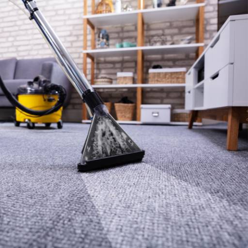 Limpeza de tapete por Natureza & Limpeza