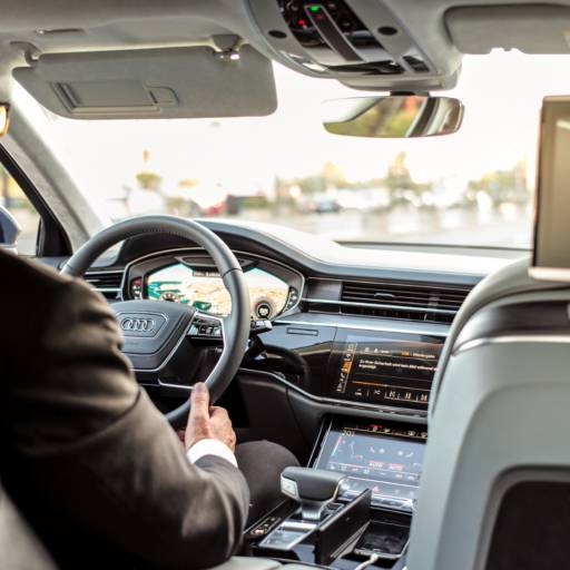 Motorista para Corridas em Bauru