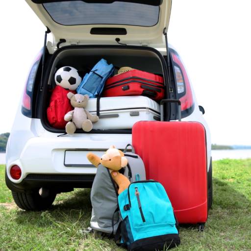 Motorista Particular para Viagens em Bauru