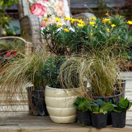 Decoração de Ambientes por Construtora Souza