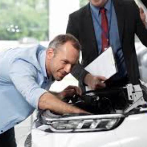 CONSULTORIA AUTOMOTIVA (ASSESSORIA NA COMPRA E NA VENDA)