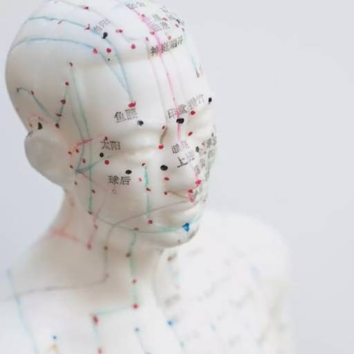 Pontos de acupuntura em Jaú, SP por Lucas Mageste Acupuntura