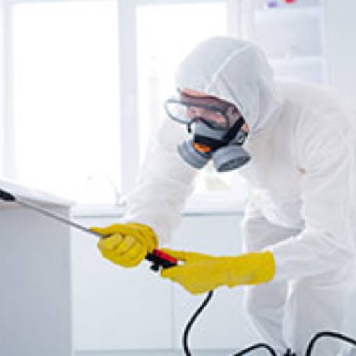 Dedetização Porto Alegre / Ligue: (51) 9.8269-0631