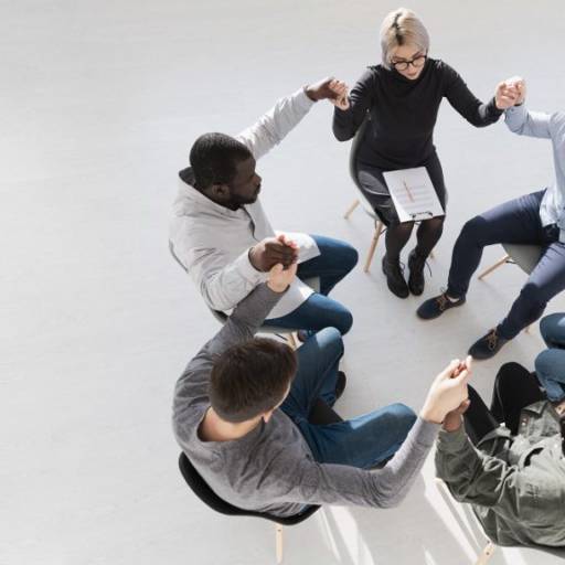 Reabilitação por Centro Terapêutico de Monte Carmelo 