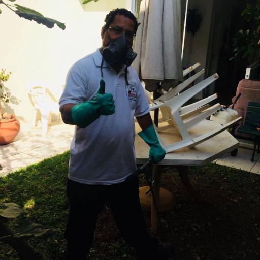 Dedetização Residencial