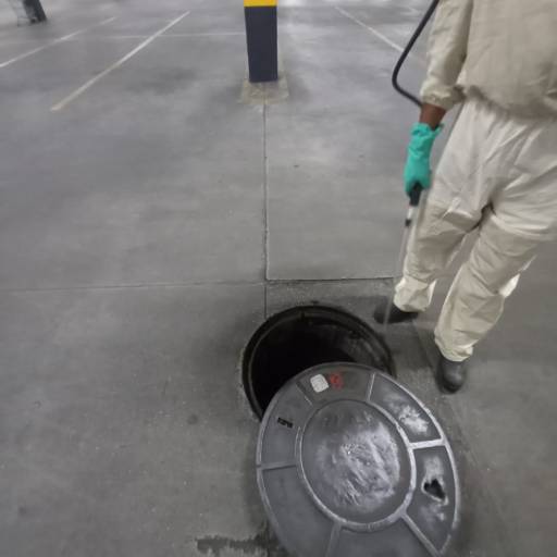 Dedetização em indústrias