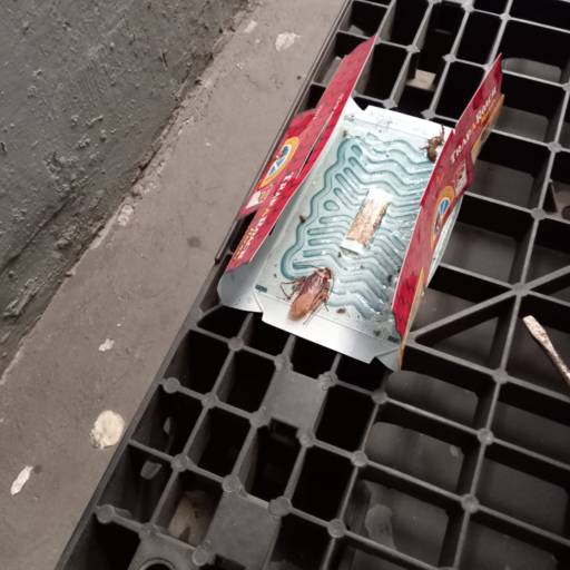 Dedetização na indústria de alimentos