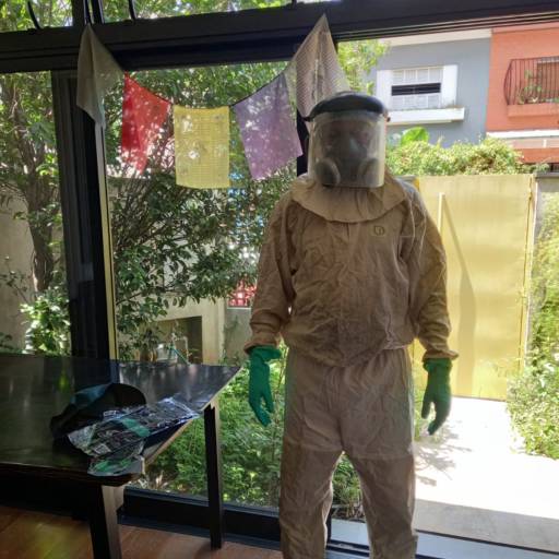 Dedetização em São Paulo