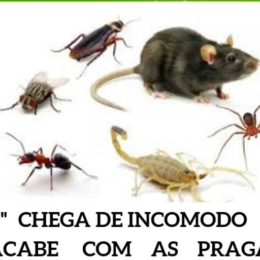 Dedetização em Geral