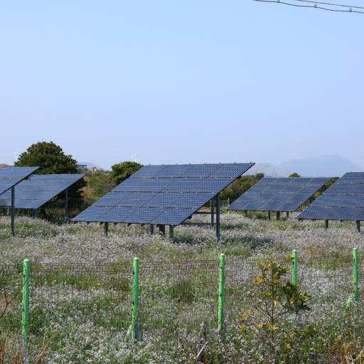 Comprar o produto de Energia Solar para Área Rural em Bauru  em Energia Solar pela empresa LF Segurança Eletrônica e Energia Solar em Bauru, SP por Solutudo