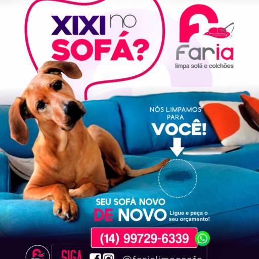 Comprar o produto de  Limpeza de Odores de Pets em Higiene e Limpeza pela empresa Faria Limpa Sofá e Colchão em Piraju, SP por Solutudo
