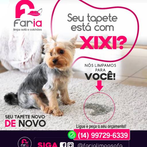  Limpeza de Odores de Pets por Faria Limpa Sofá e Colchão