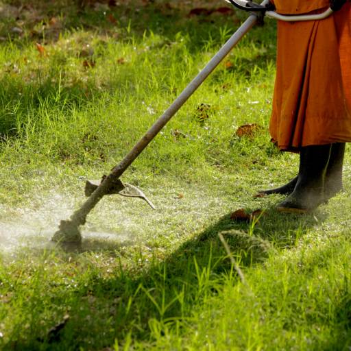Limpeza de mato em Bauru por Mais Verde Jardins