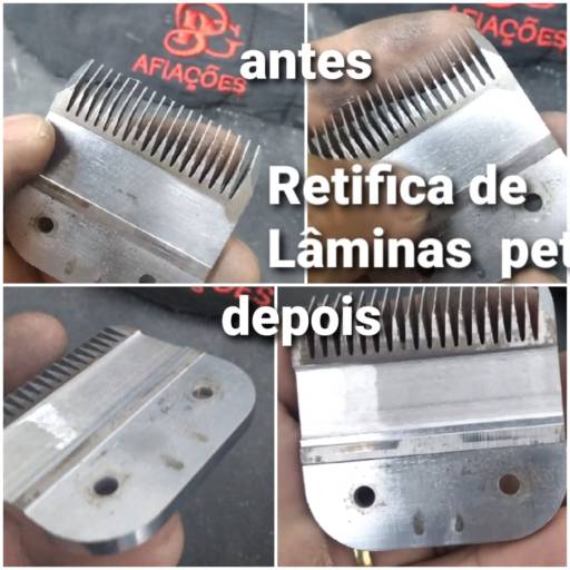 Restaurações e afiacoes de lâminas pet por BG Chaveiro e Afiação