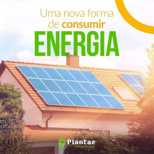 Comprar o produto de  Empresa Especializada em Energia Solar em Energia Solar pela empresa Plantae Soluções  em Joinville, SC por Solutudo