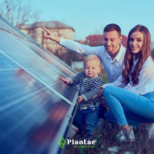Comprar o produto de Especialista em Energia Solar em Energia Solar pela empresa Plantae Soluções  em Joinville, SC por Solutudo