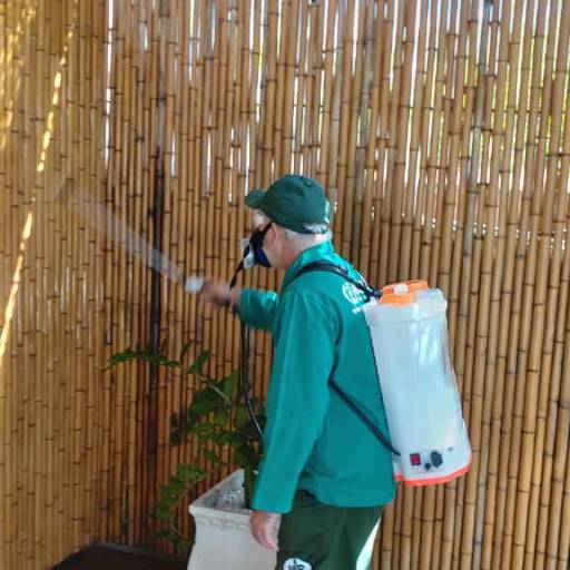 Controle de Pragas em Osasco
