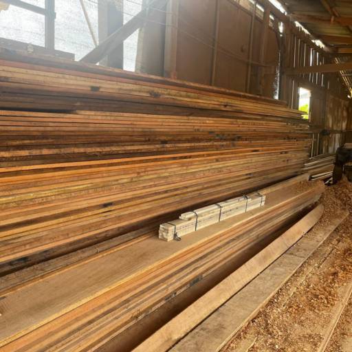 Comprar o produto de Deck de forro de cedro em Materiais para Construção pela empresa Gofer Madereiras em Salto, SP por Solutudo