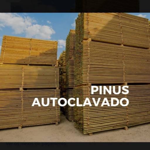 Pinus autoclavado