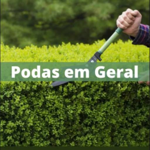 Comprar o produto de Podas em geral em Jardim pela empresa LC Serviços em Salto de Pirapora, SP por Solutudo