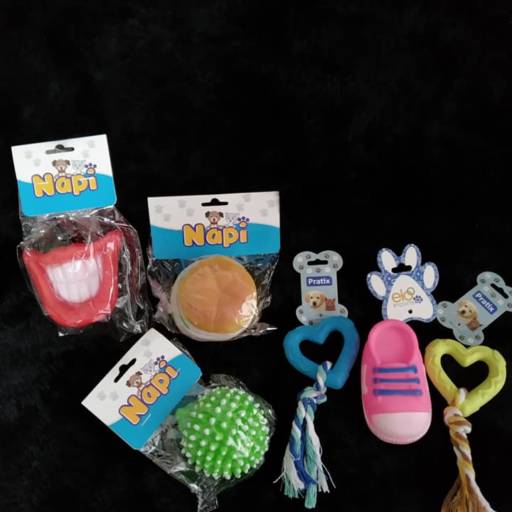 Brinquedos para Pet - Diversão e Estímulo - Itanhaém/SP por Boutique Animal Espaço Vip