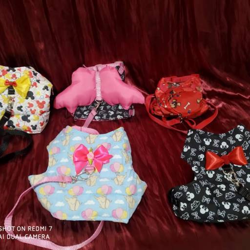 Coleira com Peitoral - Segurança e Conforto - Itanhaém/SP por Boutique Animal Espaço Vip