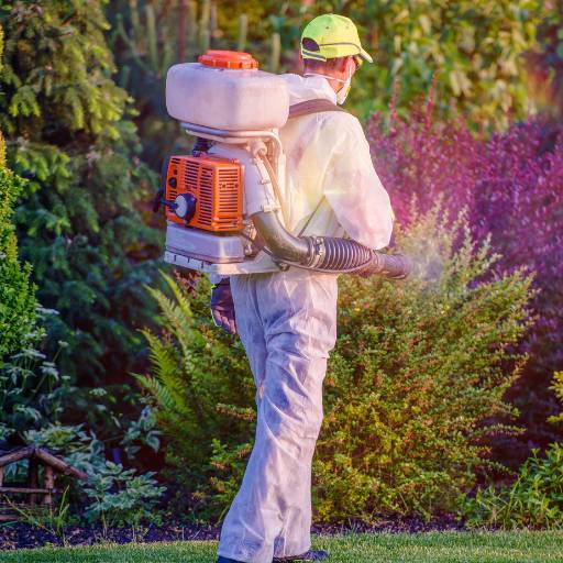 Controle de Pragas por Avaré Dedetizadora