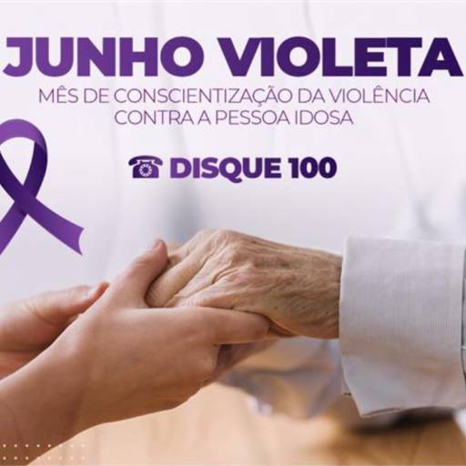 Comprar o produto de JUNHO VIOLETA em Saúde pela empresa Asilo Santo Antônio em Leopoldina, MG por Solutudo
