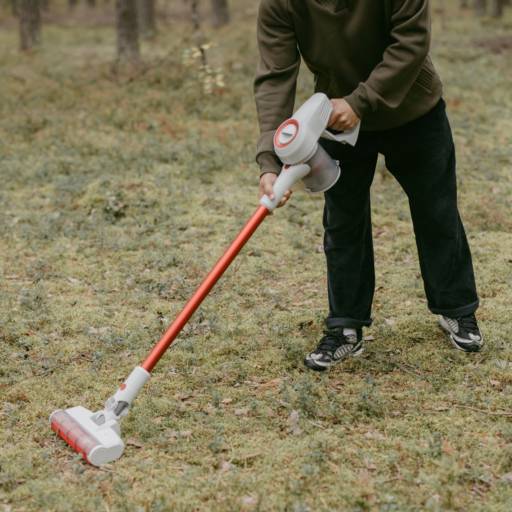 Limpeza de terreno por Grupo Paraná MT