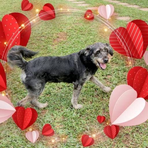 Hospedagem de Longa Duração