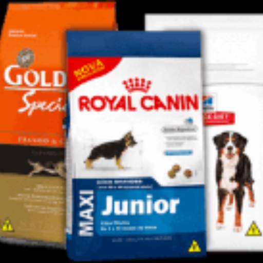 Comprar o produto de Ração Seca para Cães em Ração para Cachorros pela empresa Amorzinho Pet Shop em Jundiaí, SP por Solutudo