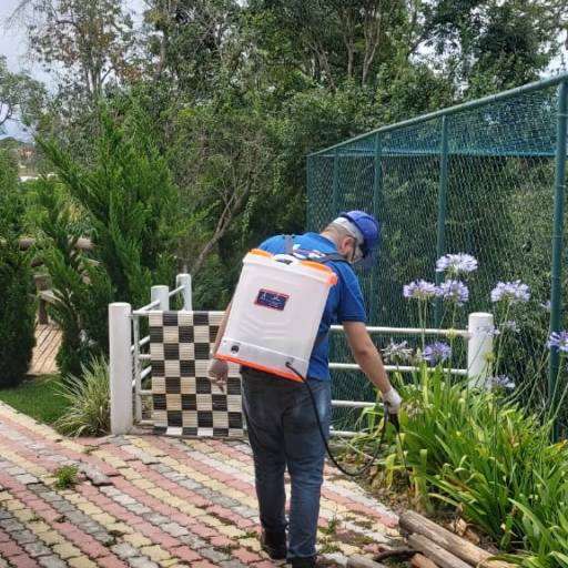 Controle De Pragas em Cotia por Lanprag Controle De Pragas Urbanas em Cotia e Região Controle De Pragas em Cotia por Lanprag Controle De Pragas Urbanas em Cotia e Região