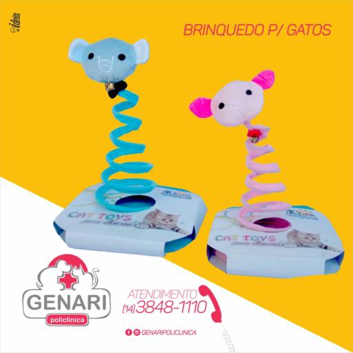 Comprar o produto de Brinquedos para Pet em Brinquedos pela empresa Genari Policlínica em Itatinga, SP por Solutudo