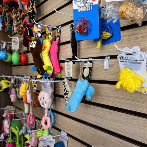 Brinquedos para Pet