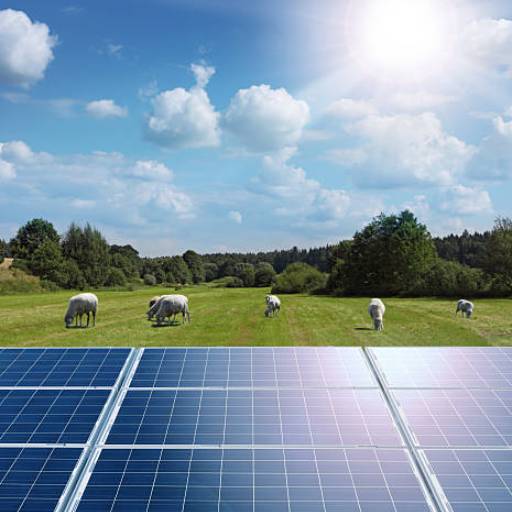 Energia solar para agricultores por Vox Energy