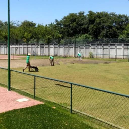 Reforma de Gramado em campo