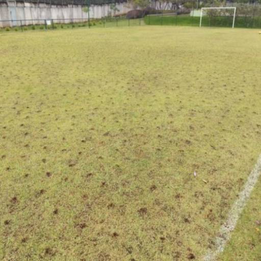 Revitalização de Grama