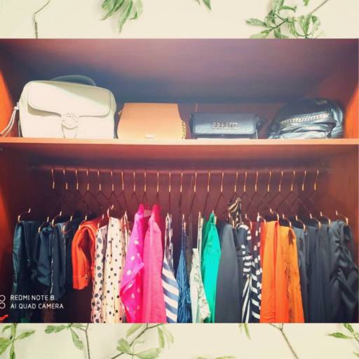 Personal Organizer para Closet