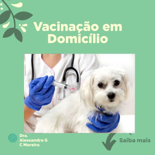 Comprar o produto de Vacinação em Domicílio em Especialidades pela empresa Veterinária em Domicílio - Dra. Alessandra Gisele C. Moreira em Atibaia, SP por Solutudo